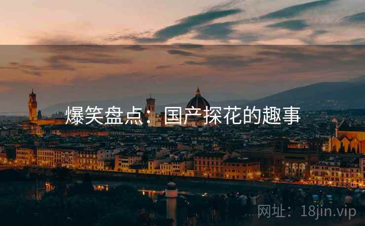 爆笑盘点：国产探花的趣事