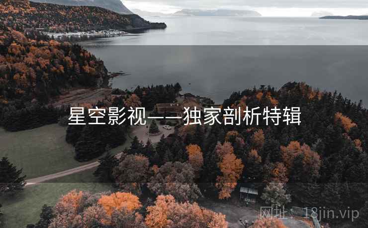 星空影视——独家剖析特辑