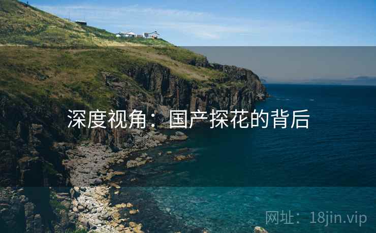 深度视角:国产探花的背后