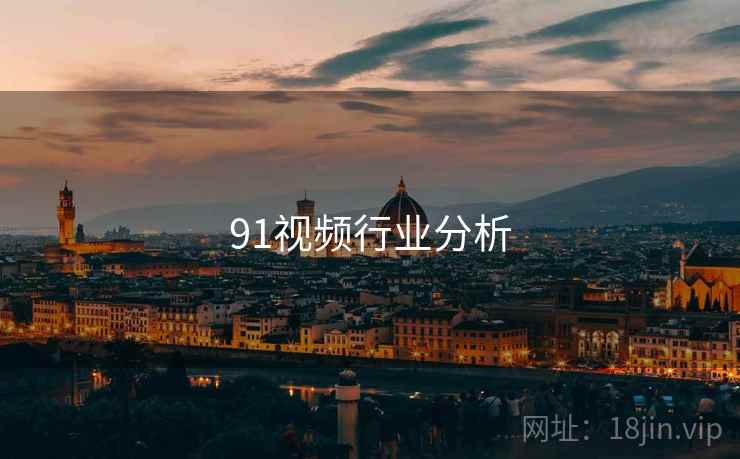 91视频行业分析