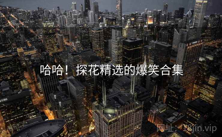 哈哈!探花精选的爆笑合集  第1张 哈哈!探花精选的爆笑合集  第1张