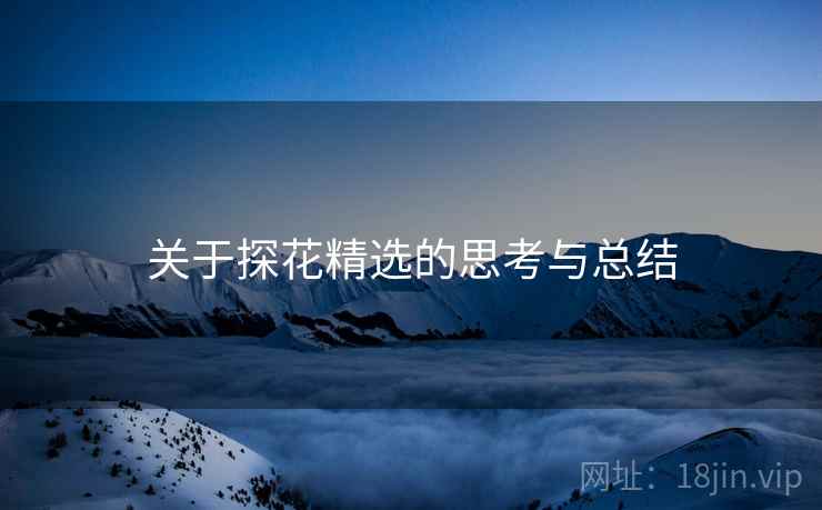 关于探花精选的思考与总结