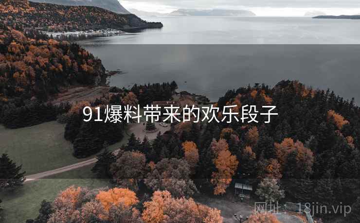91爆料带来的欢乐段子