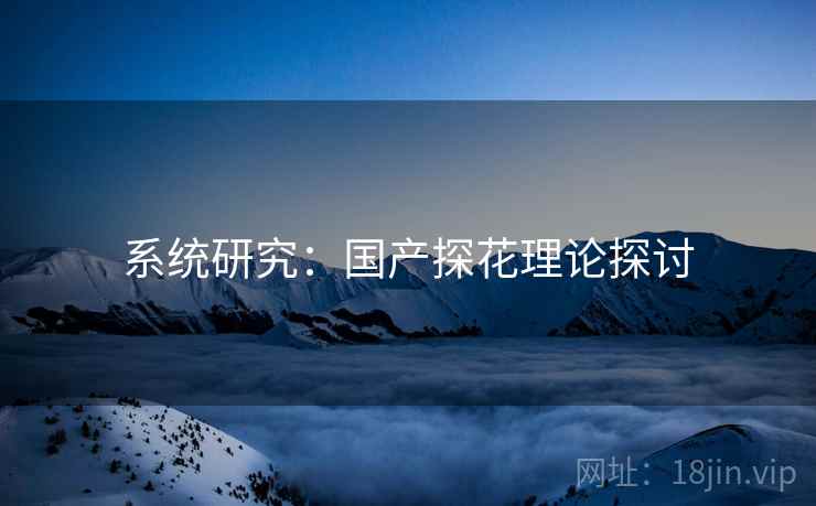 系统研究:国产探花理论探讨