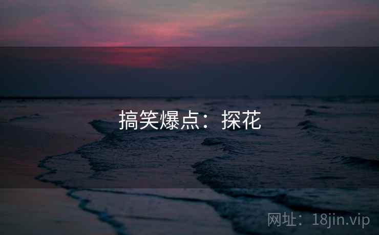搞笑爆点:探花  第2张 搞笑爆点:探花  第2张