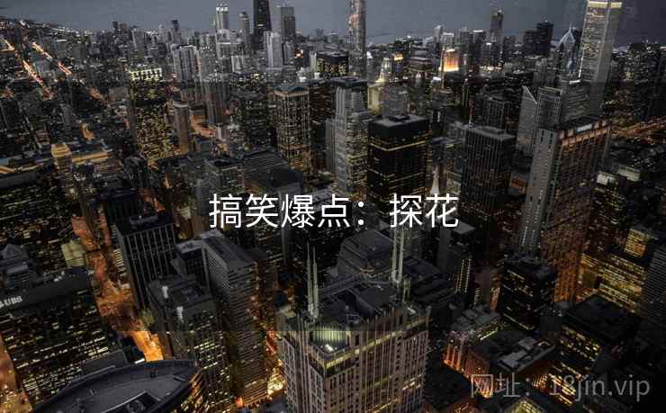 搞笑爆点:探花  第1张 搞笑爆点:探花  第1张