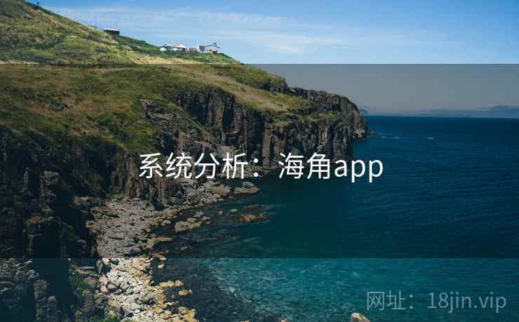 系统分析:海角app