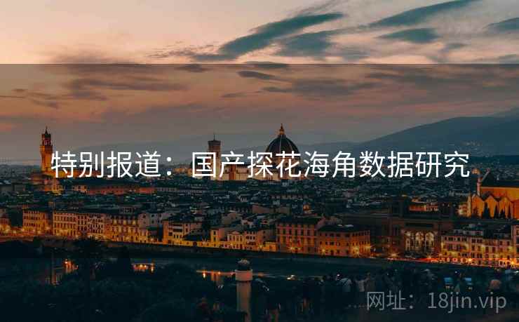 特别报道:国产探花海角数据研究