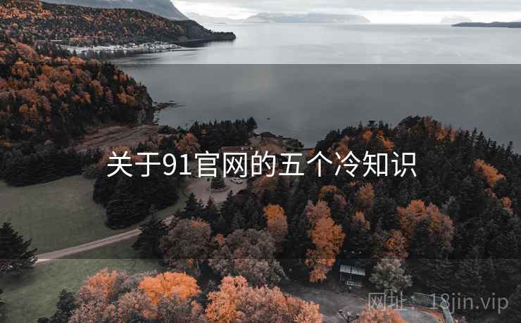 关于91官网的五个冷知识