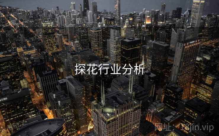 探花行业分析  第1张 探花行业分析  第1张