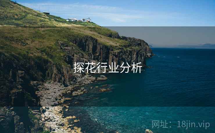探花行业分析  第2张 探花行业分析  第2张