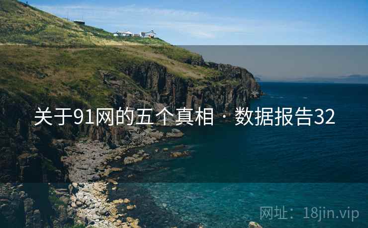 关于91网的五个真相 · 数据报告32