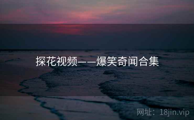 探花视频——爆笑奇闻合集