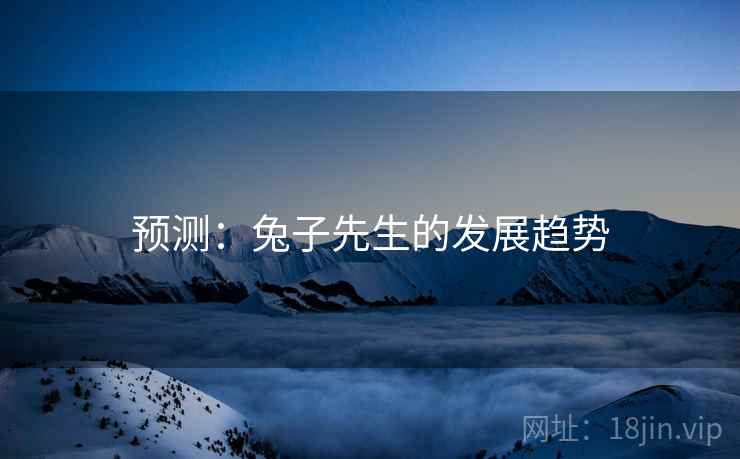 预测:兔子先生的发展趋势