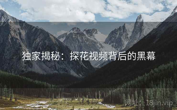 独家揭秘:探花视频背后的黑幕