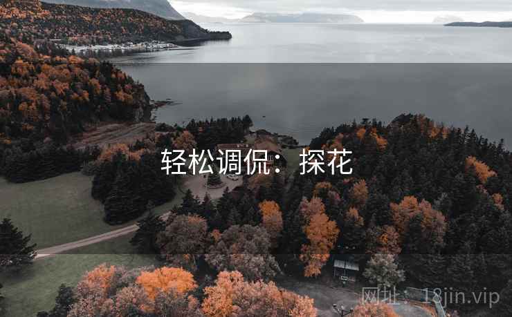 轻松调侃:探花