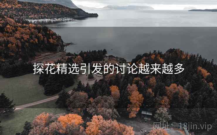 探花精选引发的讨论越来越多