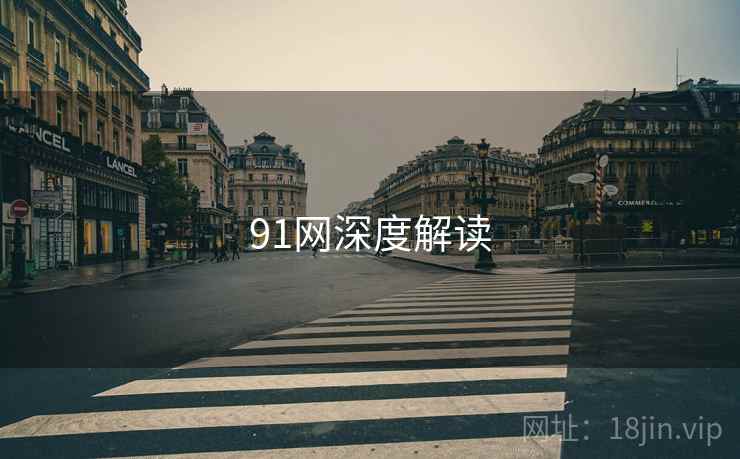 91网深度解读