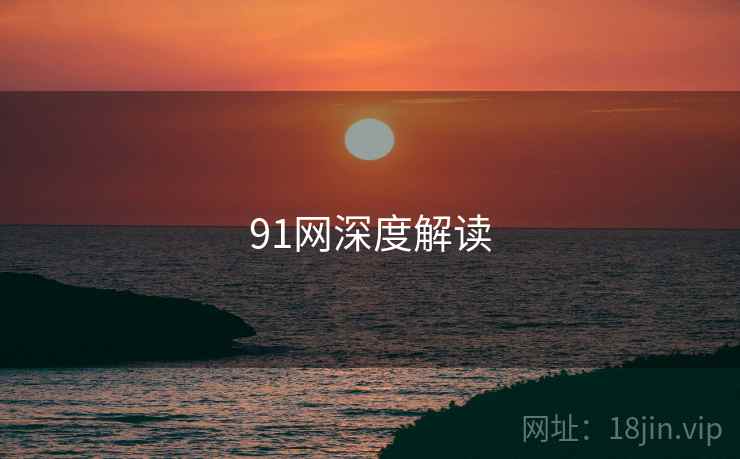 91网深度解读