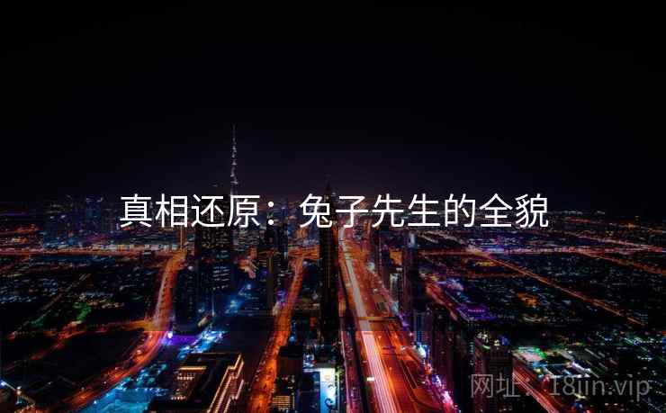 真相还原:兔子先生的全貌