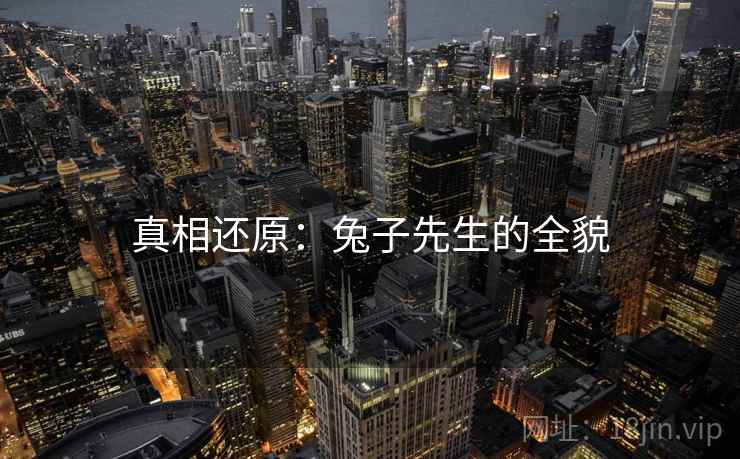 真相还原:兔子先生的全貌
