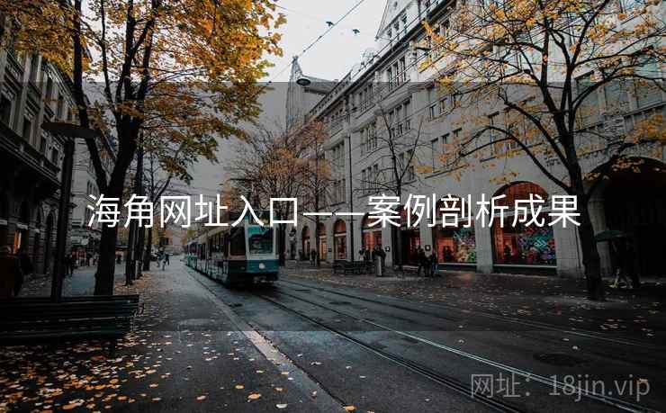 海角网址入口——案例剖析成果